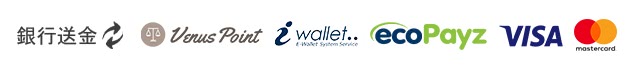 Fast and safe payment methods